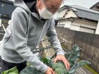 ご自分で育てた白菜とブロッコリーを収穫!(^^)!