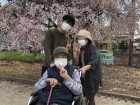 近くの公園の桜もきれいに咲いてます♪(*^^)